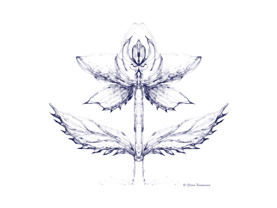 Flower 02 - digitale Zeichnung mit Krita