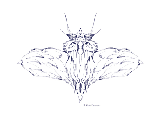 Insekt 02 - digitale Zeichnung mit Krita